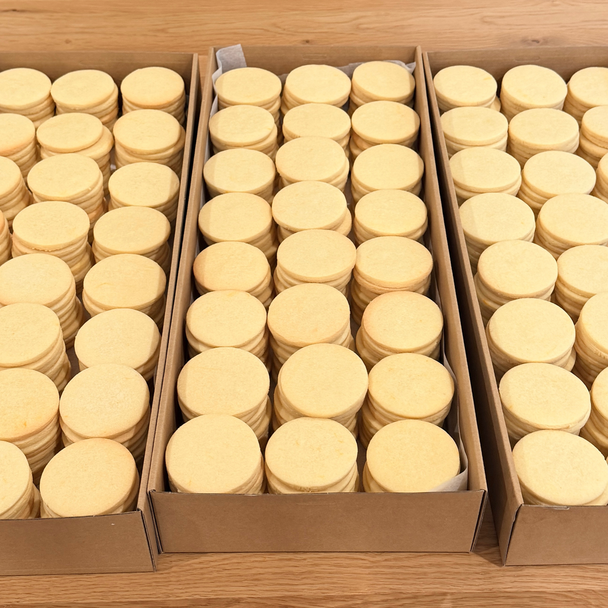 Plain Sugar Cookies Ready to Decorate