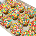 Fairy Bread Cupcakes